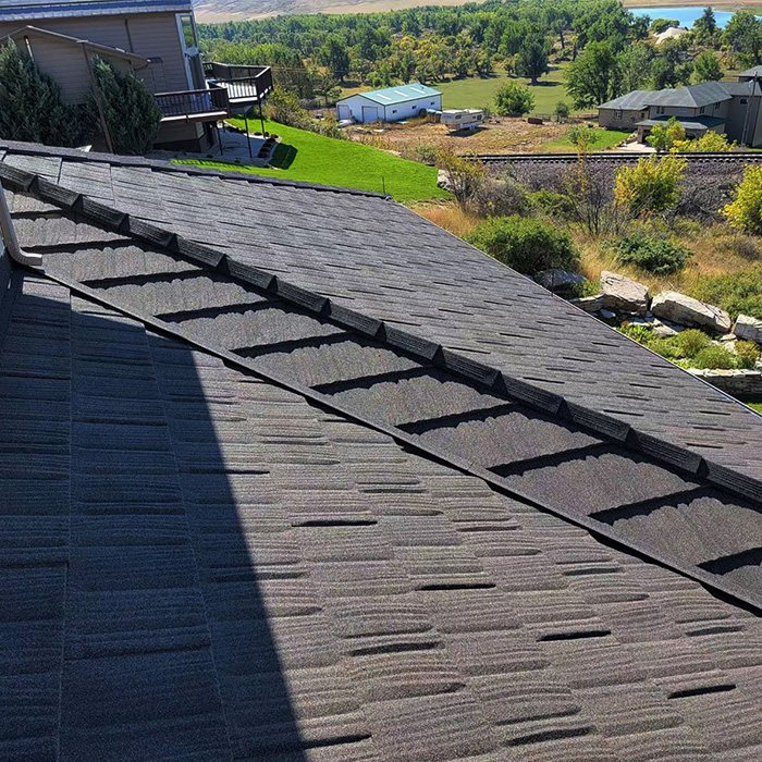 Charcoal Shake profile